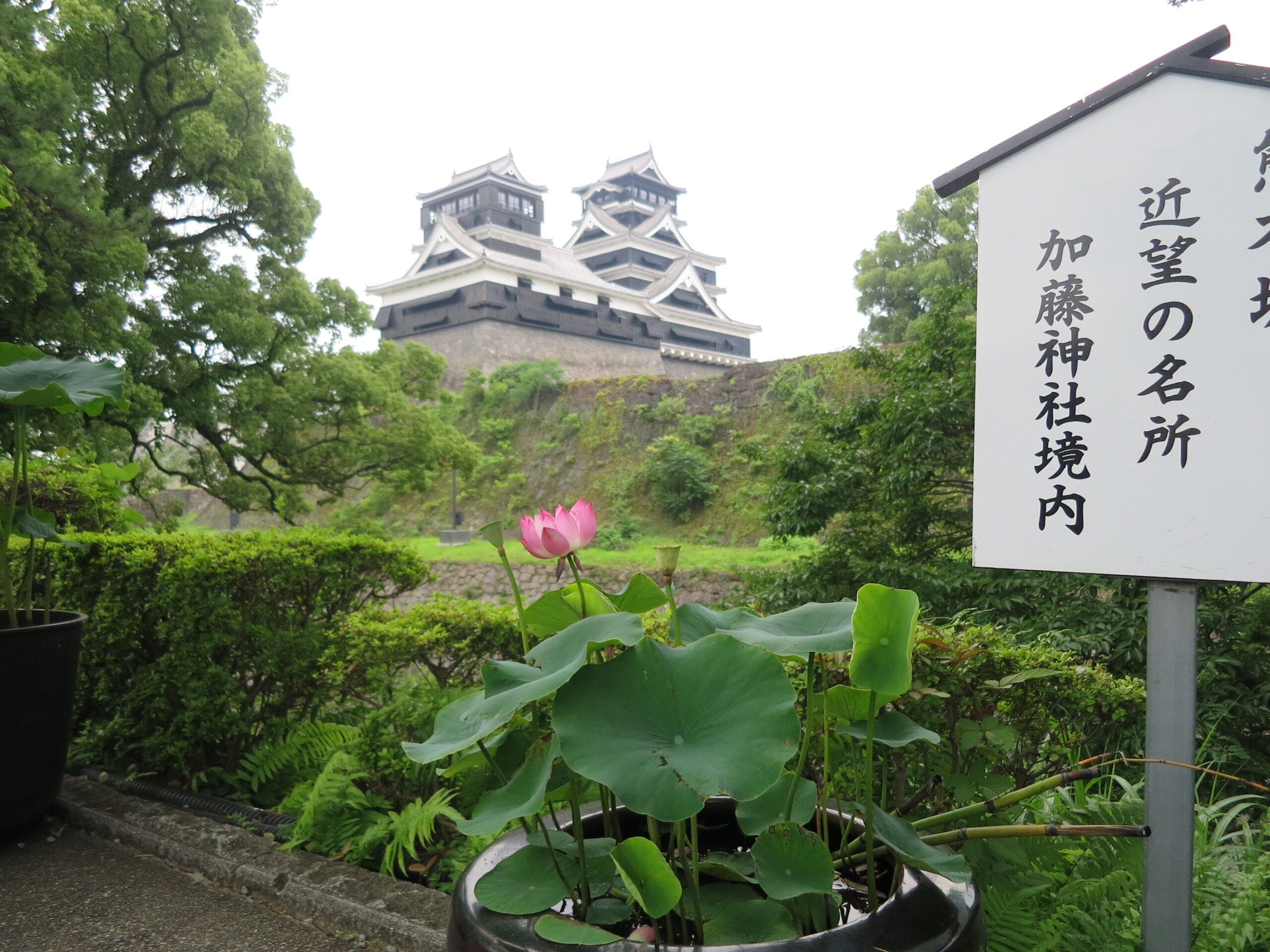 熊本城近くの加藤神社の御朱印やアクセス・見どころをまとめてご紹介！ - 日宝綜合製本