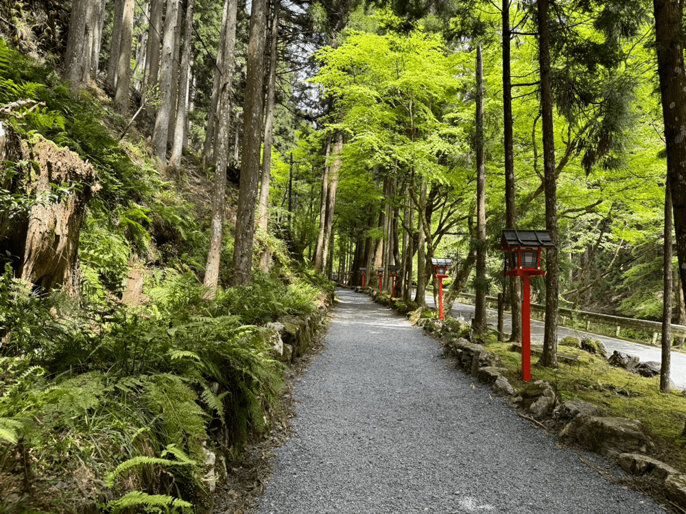 貴船神社　奥宮への道