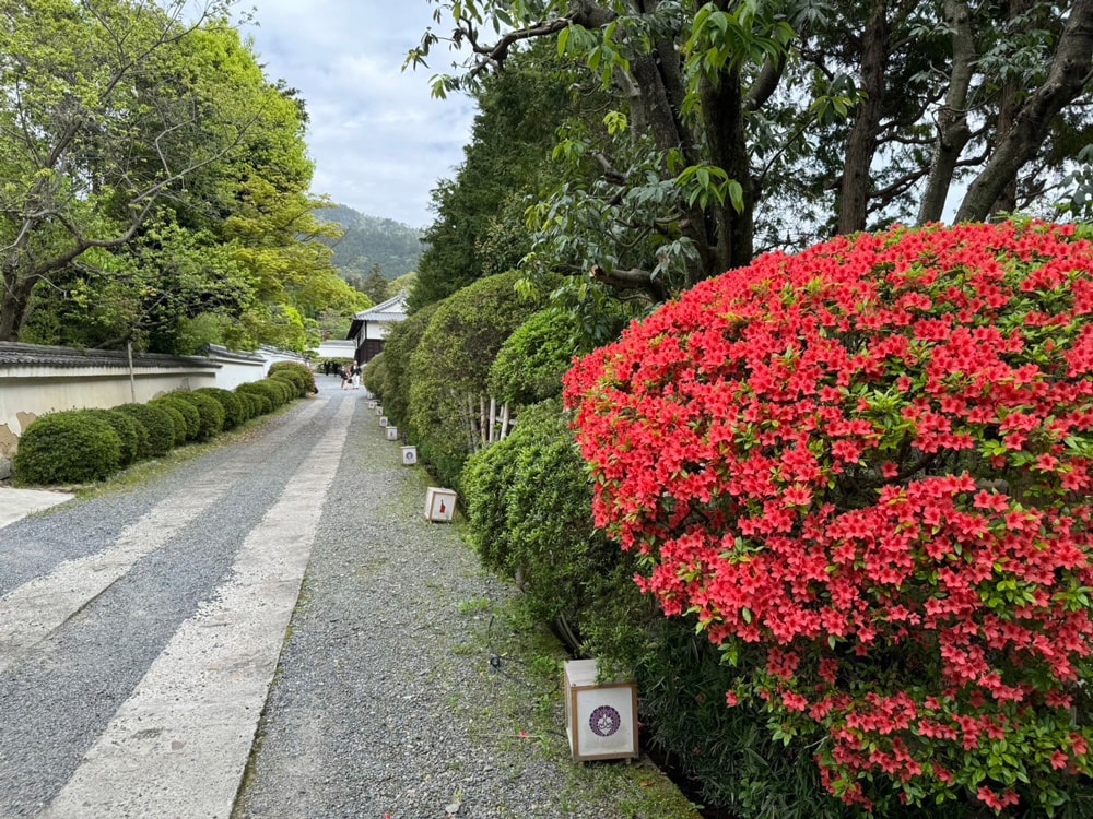 随心院　総門をくぐった道